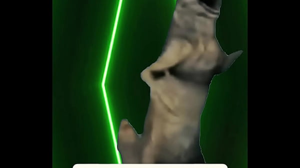 No words needed &mdash; just presence the definition of power wrapped in elegance 