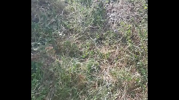 Play MP4 - Ep 24 in public&period; His hot step sis ter at the beach fucked&period; He takes to a more secluded place and sucks his dick and gets along well with him&period; Part 2