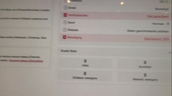Verificatievideo