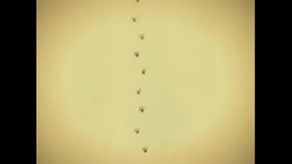 Nonton Soup Cat thumbnail