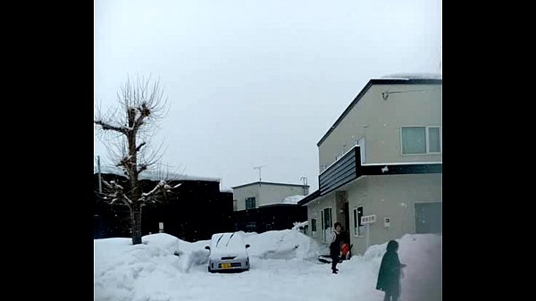 A Japanese pornographic film actor Koseki Naoya fucks_his sheep