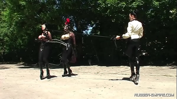 Public Pony Trainig thumbnail