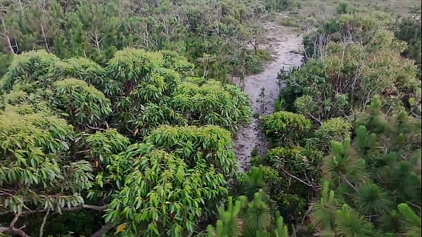 Nonton Drone Flagra Casal Transando thumbnail