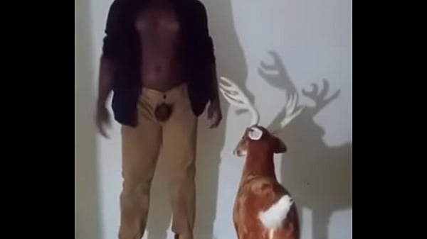 Similar colors to creamy peanut butter 2 