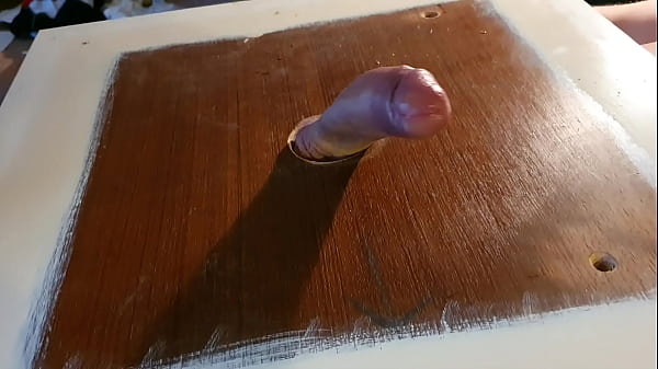 Cock Versus Cat-o-nine-tails 