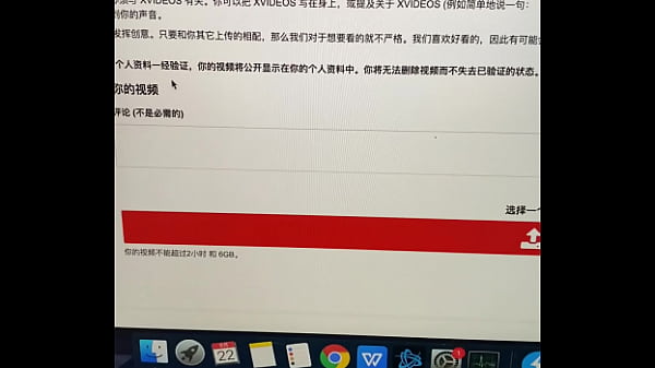 验证视频