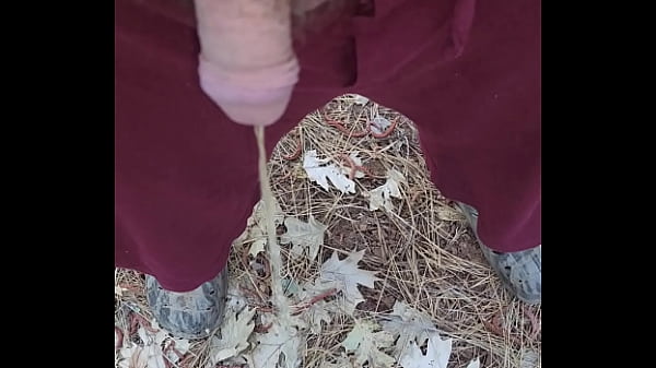 Kaso221 - 7am pee time 