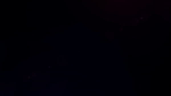 Nonton Twerk It Baby With Vicky Love By Wet And Puffy thumbnail