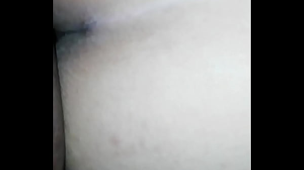 De perrito Volao V.2 