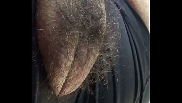 Hairy Big Pussy   Peluda