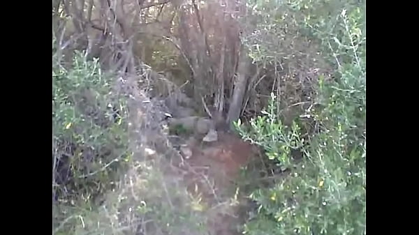 Promenade en for&ecirc;t 
