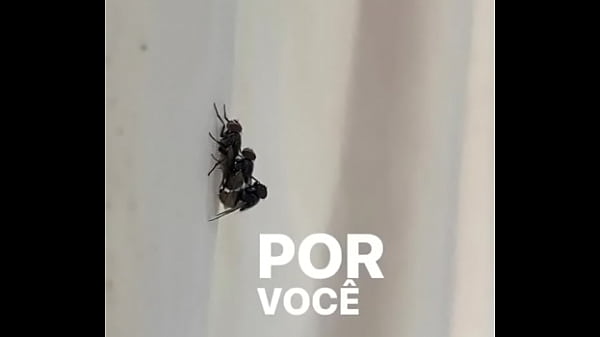 Nonton Concei&ccedil;&atilde;o Sentando Na Pika Em Pleno Fim De Semana thumbnail