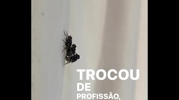 Concei&ccedil;&atilde;o sentando na pika em pleno fim de semana 