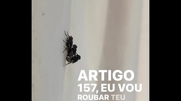 Concei&ccedil_&atilde_o sendo arrega&ccedil_ada por cau
