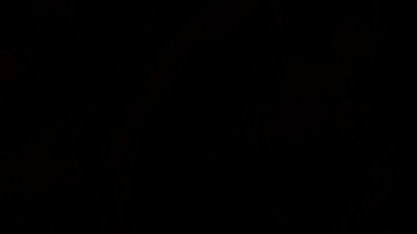 Nonton Lassie Sucks Hard Dick thumbnail