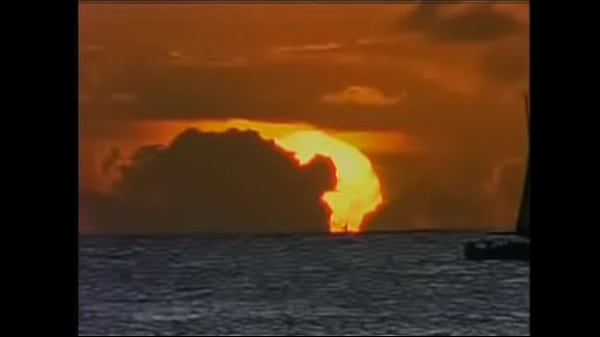 Maydon Voyage Jackiesuave