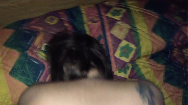 Play MP4 - Thick white ass on BBC IMG 2551