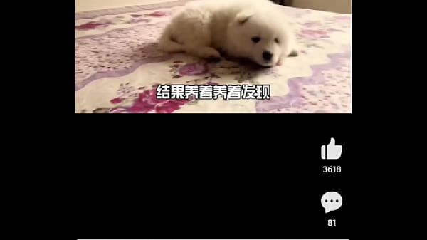 验证视频