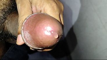 Close up bengali cock video
