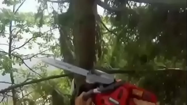 Nonton Massive Log Takes Off And Goes Straight Up thumbnail