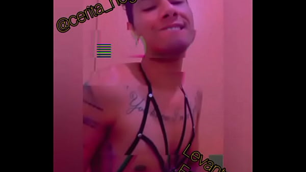 Regresamos a la cacer&iacute;a en vivo 