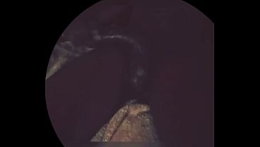 Huge black dick 
