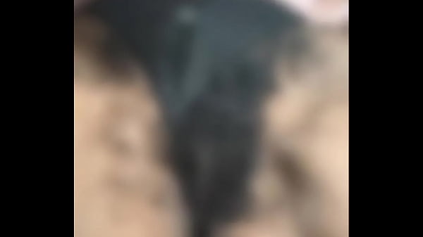 Are you ready update #42 2024 11 02t01 22 52 000z 