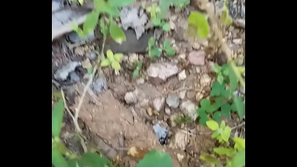 वेरीफ़िकेशन विडियो 