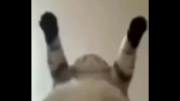 Toxic fodendo gostoso o sz e o dexter e o joel  1234567891011121314151617...20Next SEXBOKEP adalah Website Bokep Indonesia Terbaru dan Terlengkap Gratis dimana Anda dapat menonton streaming video bokep dan download vidio bokep terbaru yang sedang viral dengan aplikasi bokep android, Aplikasi bokep free download simontok app terbaru 2026 for PC Mobile Online dan HP     Contact Us   DMCA   Disclamer   Privacy and Policy   Conditions of Use  &copy; 2026 SEXBOKEP All rights reserved