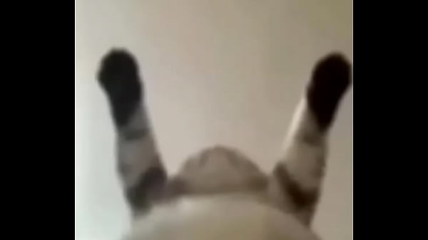 Toxic fodendo gostoso o Sz e o Dexter e o Joel 