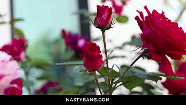 Nonton Seth Wants To Have A Talk With Chanel Camry thumbnail