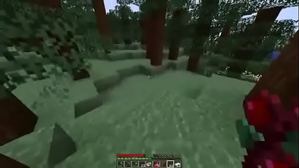 First night in min3craft survival 