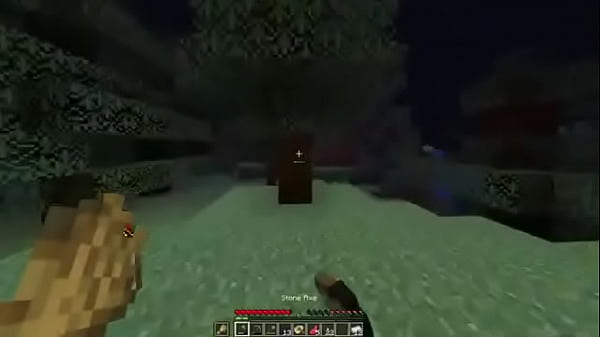 First night in min3craft survival 