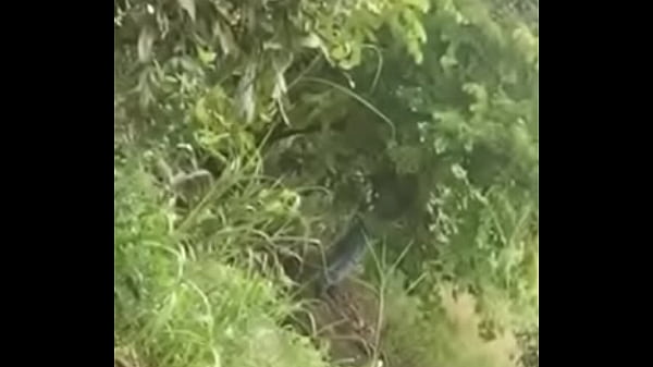 trim.3498EC79-C18F-45D8-BB78-F96D2F4E93E9.MOV 