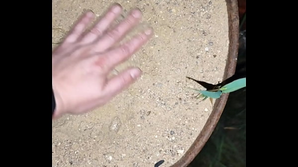 Chastity Key Burried Away thumbnail