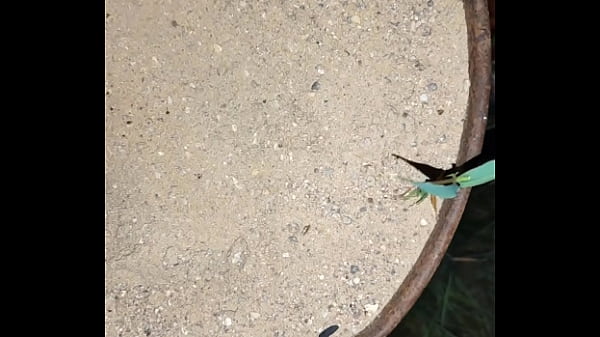 Chastity key burried away 