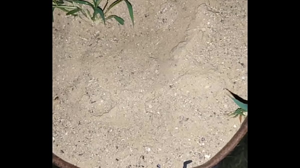 Nonton Chastity Key Burried Away thumbnail