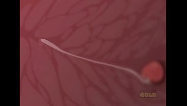 Getting anal in public restroom animated video