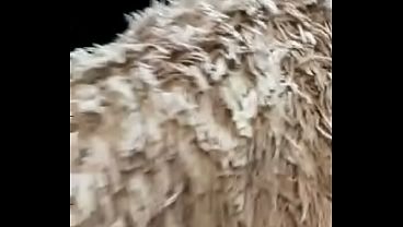 Verification Video thumbnail