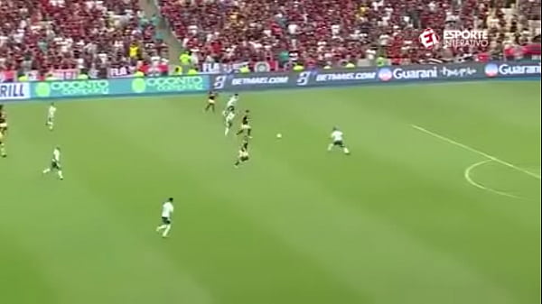 porca_levando_tres com de uma_vez