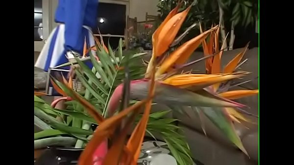 Nonton Hcvn0112-795 thumbnail