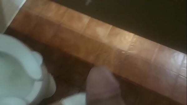 Play MP4 - Huge half hard cumshot in a park bethroom