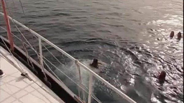 Yach Orgy with Couples - More on 666sex.webcam 