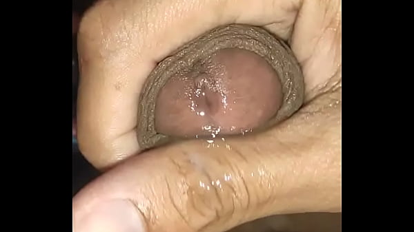 Novinho Safado thumbnail