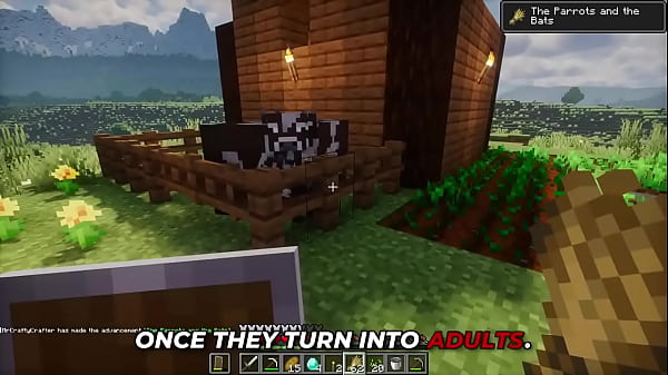 Best newbie tutorial for minecraft