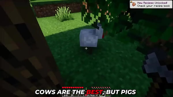 Best newbie tutorial for minecraft