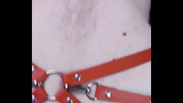 Nonton Harness Cuffed Anal Peg thumbnail