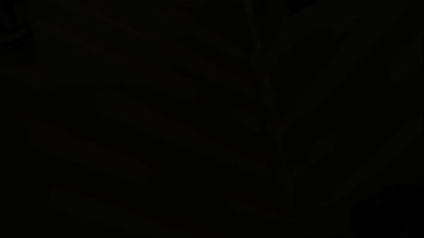 It's good she finally understands