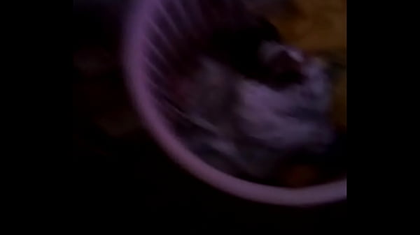 El bote de ropa sucia de mi cu&ntilde_adita