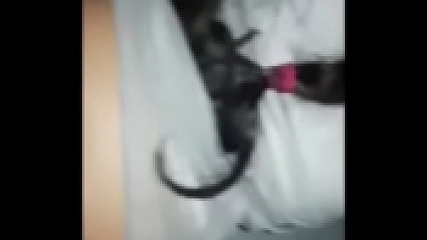 Banging my girlfriend 